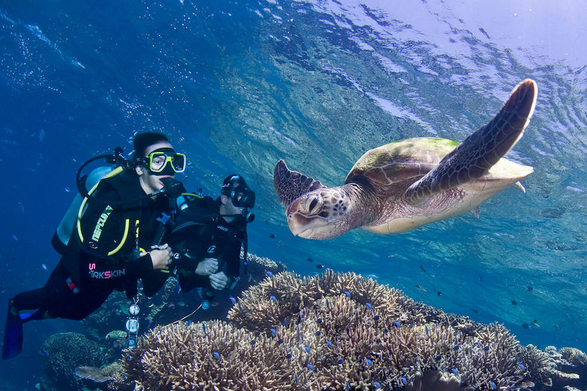 Turtle encounter on the Great Barrier Reef - ScubaPro III