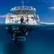 Divers at the dive platform onboard ScubaPro III 