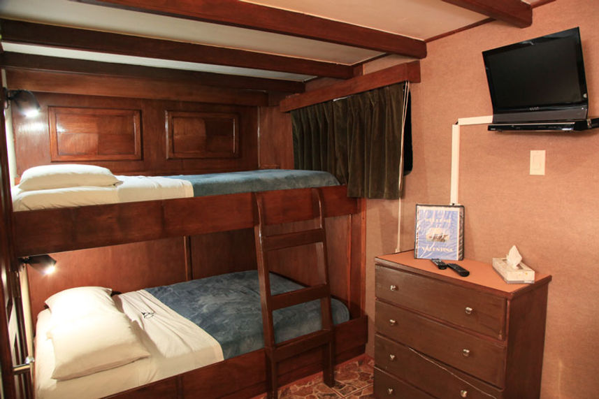 Deluxe twin cabin - MV Valentina Liveaboard 