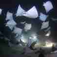 Night Mobula - Sea of Cortez