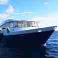 Dive Dhoni for Fun Azul
