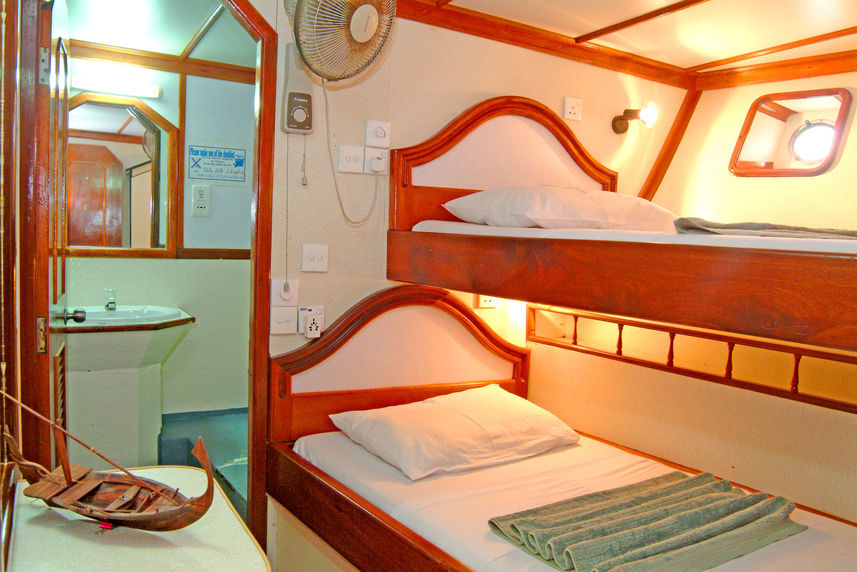 Standard Cabin - Dhinasha