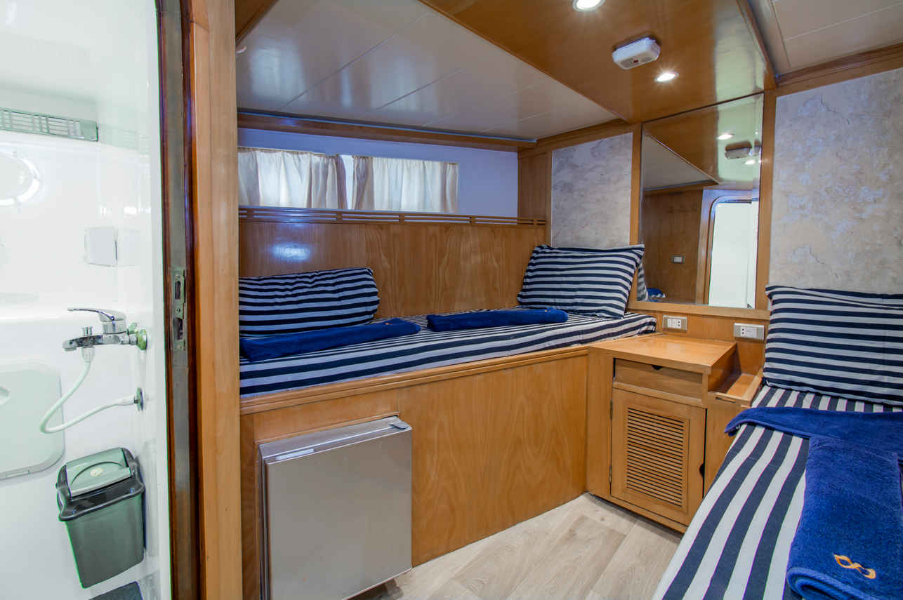 #twincabin - Golden Dolphin