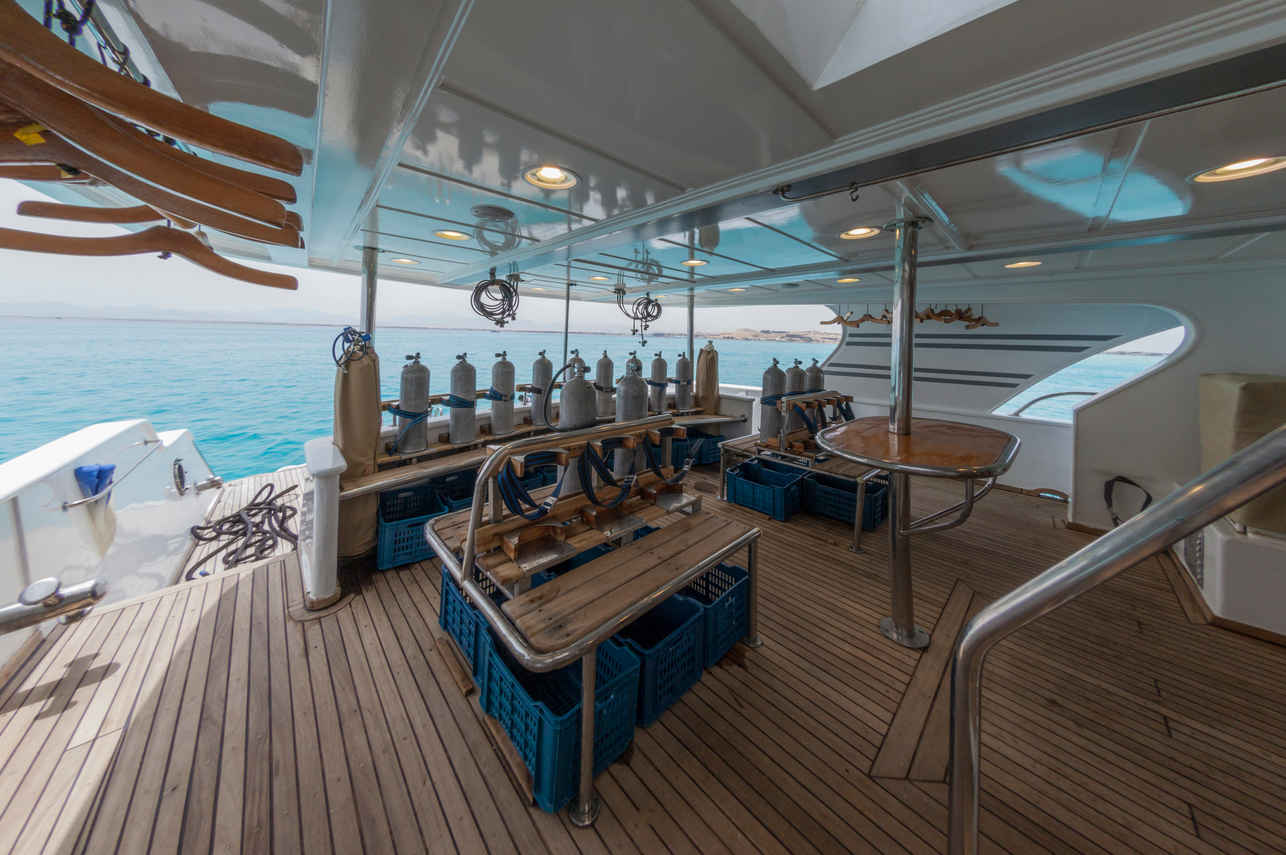 #divedeck - Golden Dolphin