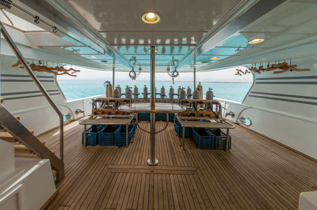 #divedeck - Golden Dolphin