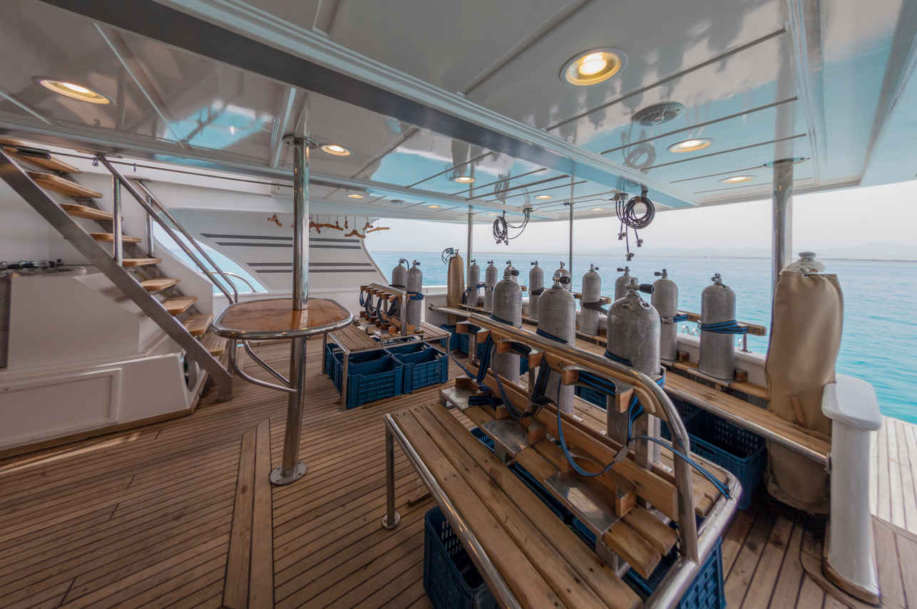 #divedeck - Golden Dolphin