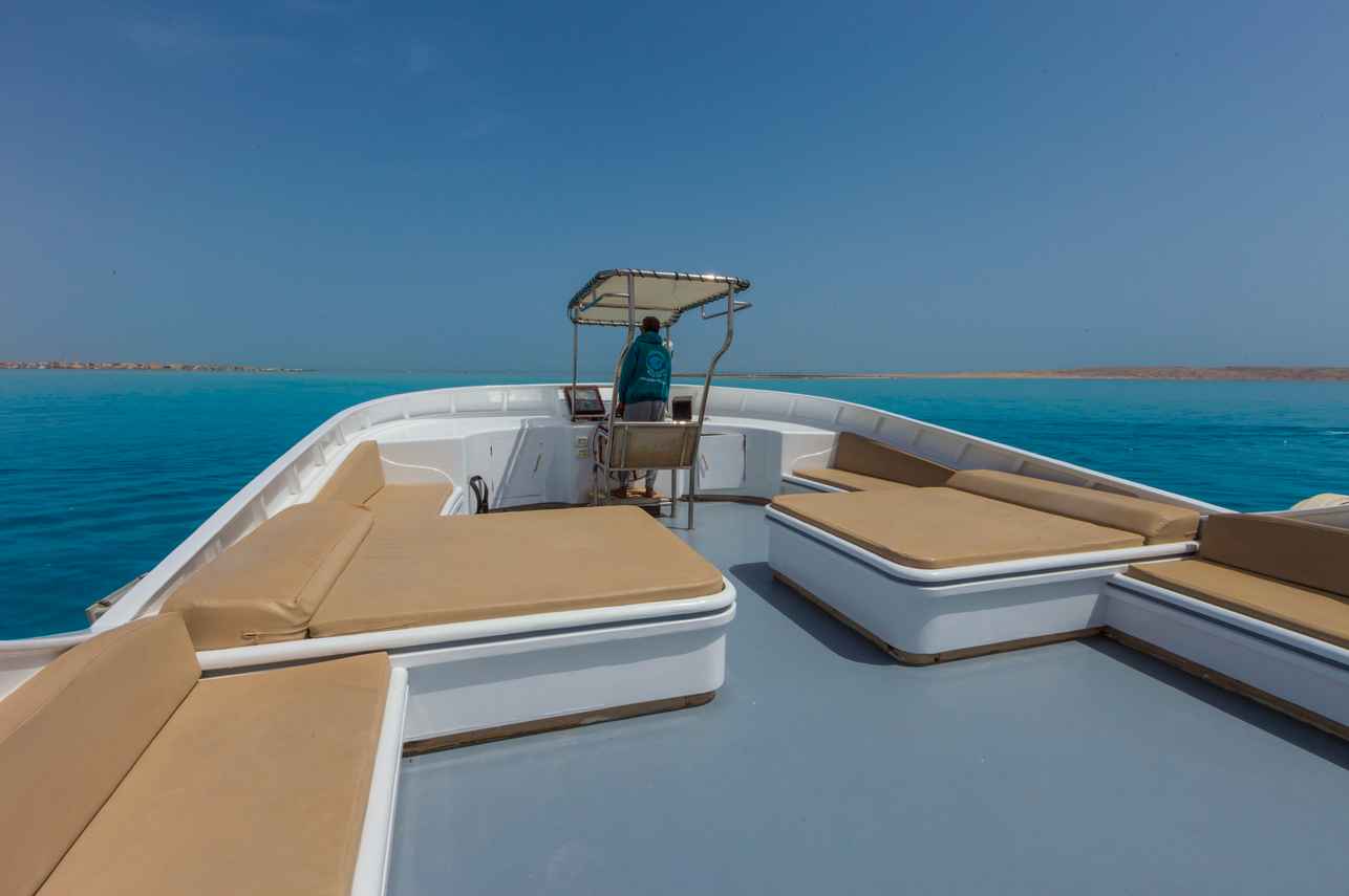 #sundeck - Golden Dolphin