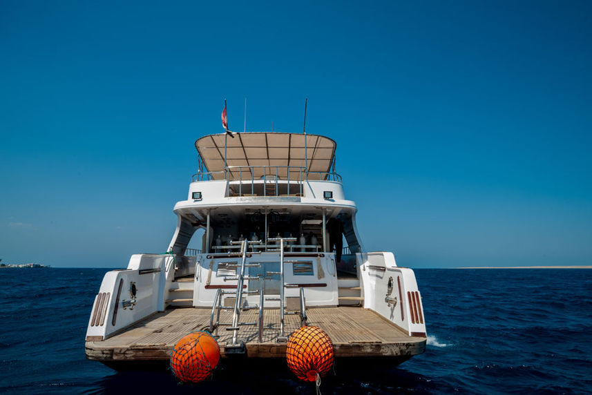 Dive Deck - Golden Dolphin Egypt Liveaboard