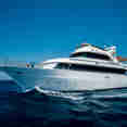 Golden Dolphin 