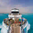 #sundeck  - Golden Dolphin