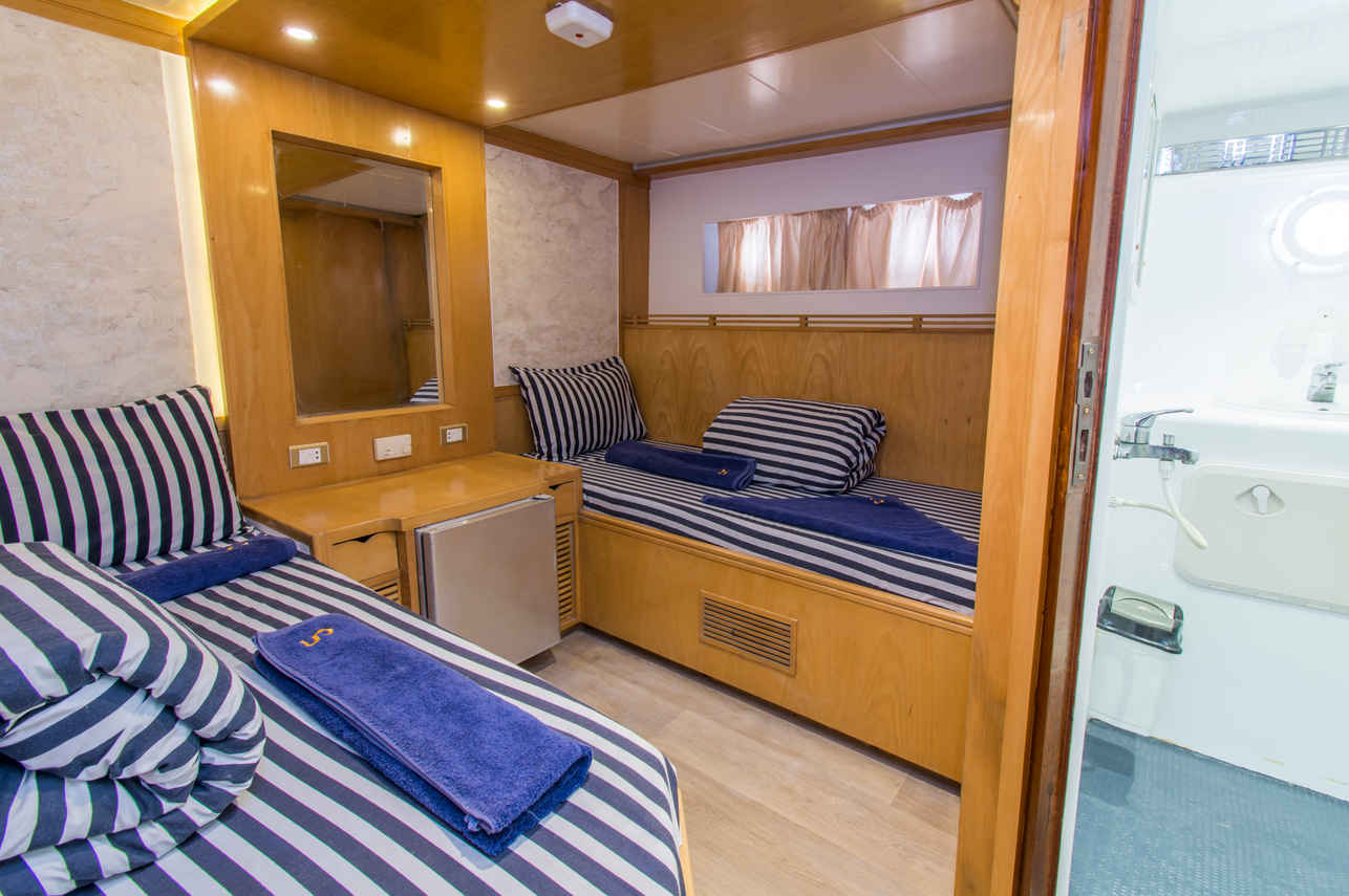 #twincabin - Golden Dolphin