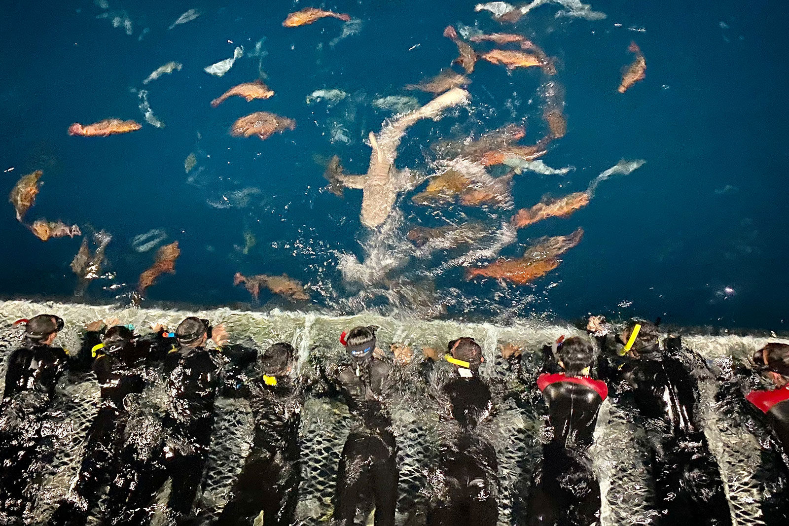 Cubierta de buceo - Ocean Quest