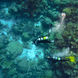  Diving - Ocean Quest