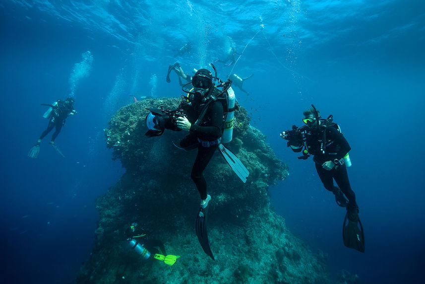 Diving - Ocean Quest