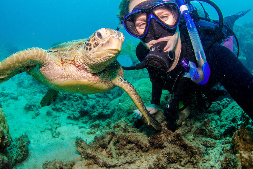 Ocean Quest Liveaboard, Australia - LiveAboard.com