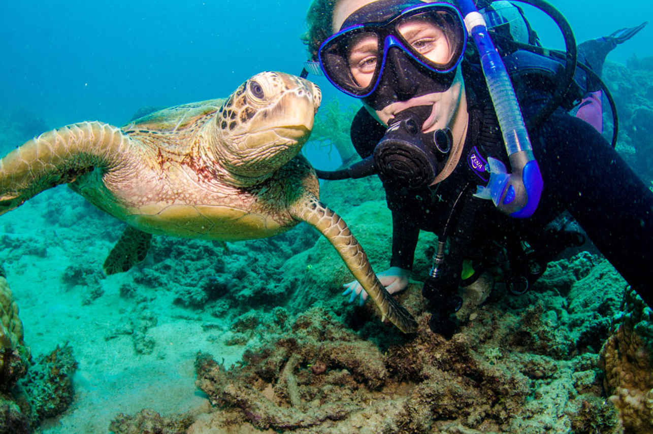 Diving