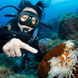  Diving - Ocean Quest
