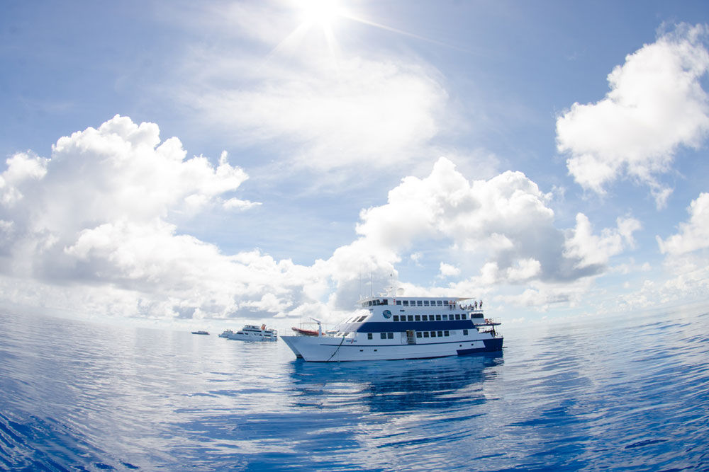 Ocean Quest Liveaboard, Australia - LiveAboard.com