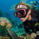 Schildpad - Ocean Quest