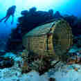 Diving