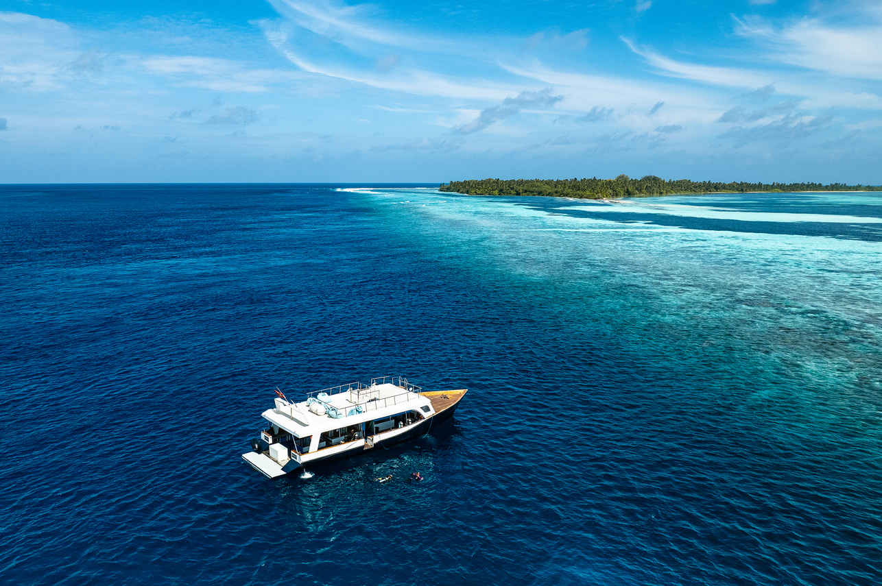 Diving Dhoni - Scubaspa Yang