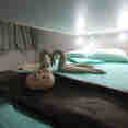 Avalon II Stateroom Double