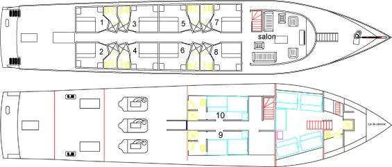 disposizione del ponte