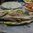 Halcon