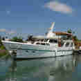 Halcon