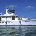 Halcon