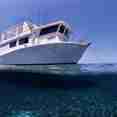 La Reina liveaboard diving Jardines de la Reina, Cuba