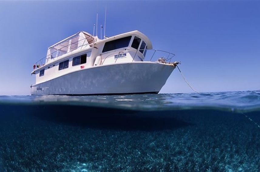 La Reina liveaboard diving Jardines de la Reina, Cuba