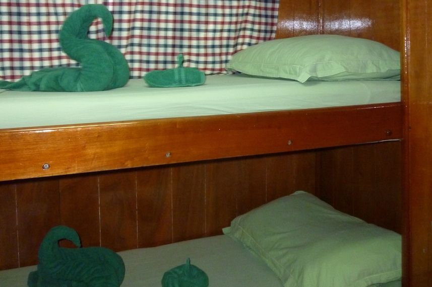 Comfortable twin cabin - La Reina liveaboard, Cuba