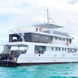 Deep Andaman Queen