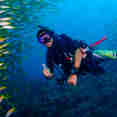 Diving