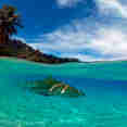 Beautiful French Polynesia