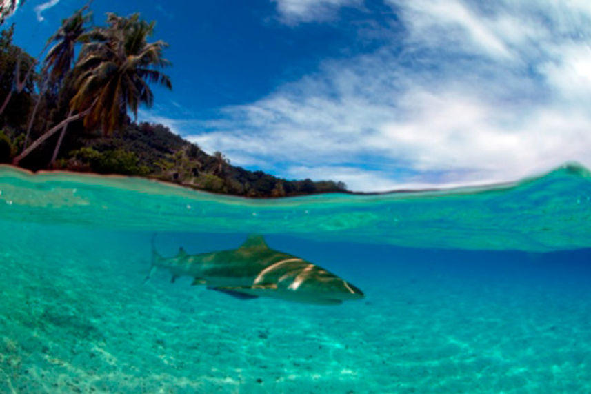 Beautiful French Polynesia