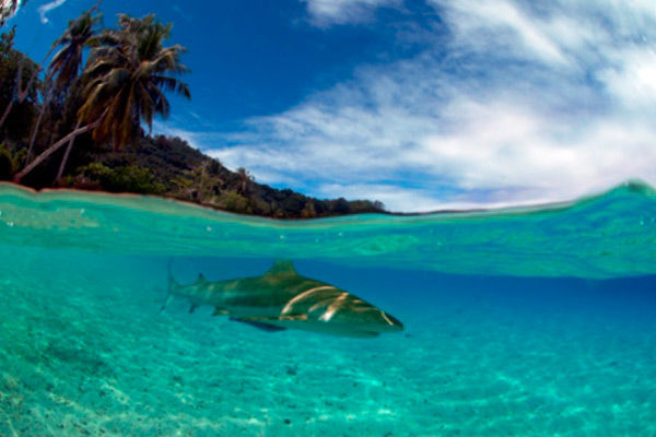 Beautiful French Polynesia