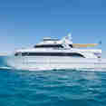 Golden Dolphin II