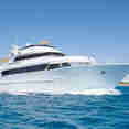 Golden Dolphin II