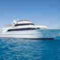 Golden Dolphin II