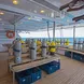 Dive deck - Golden Dolphin II