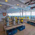 Dive deck - Golden Dolphin II