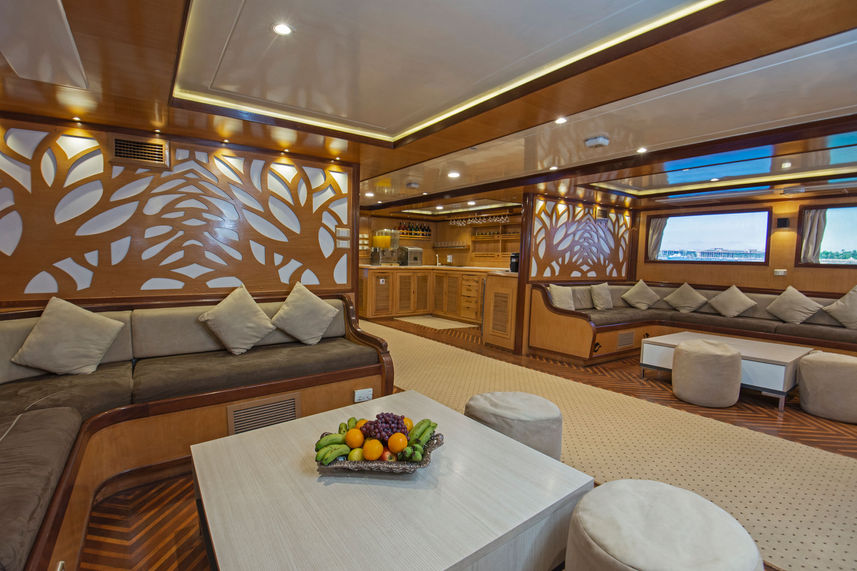 Salon interior - Golden Dolphin II