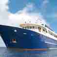 Blue Manta