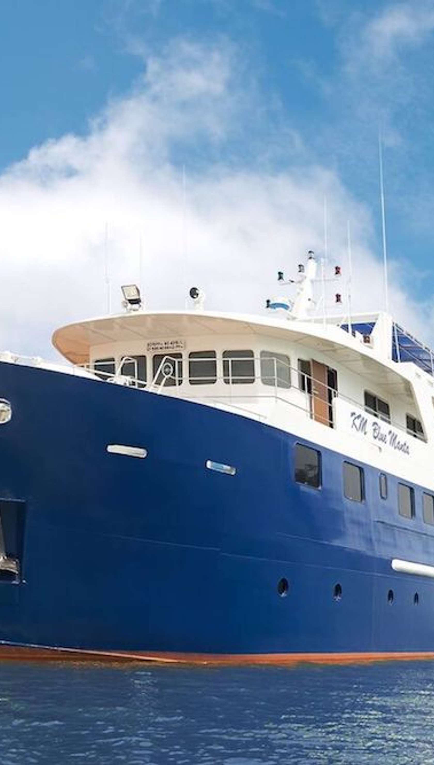 Blue Manta