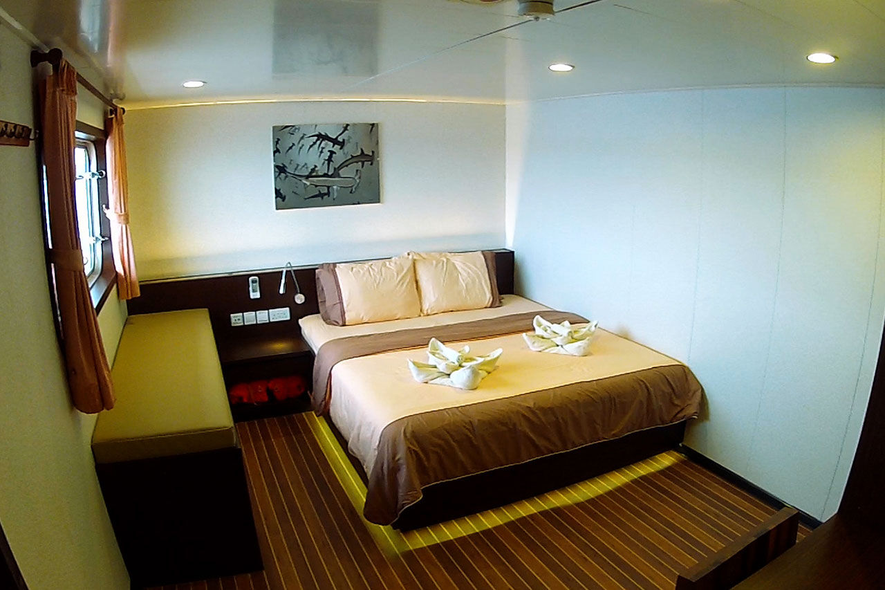 Upper Deck Cabin - Blue Manta