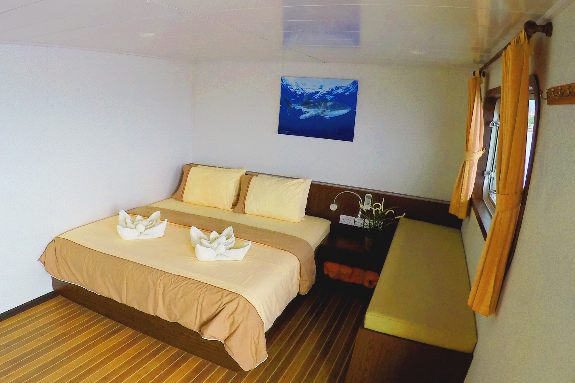 Upper Deck Cabin - Blue Manta