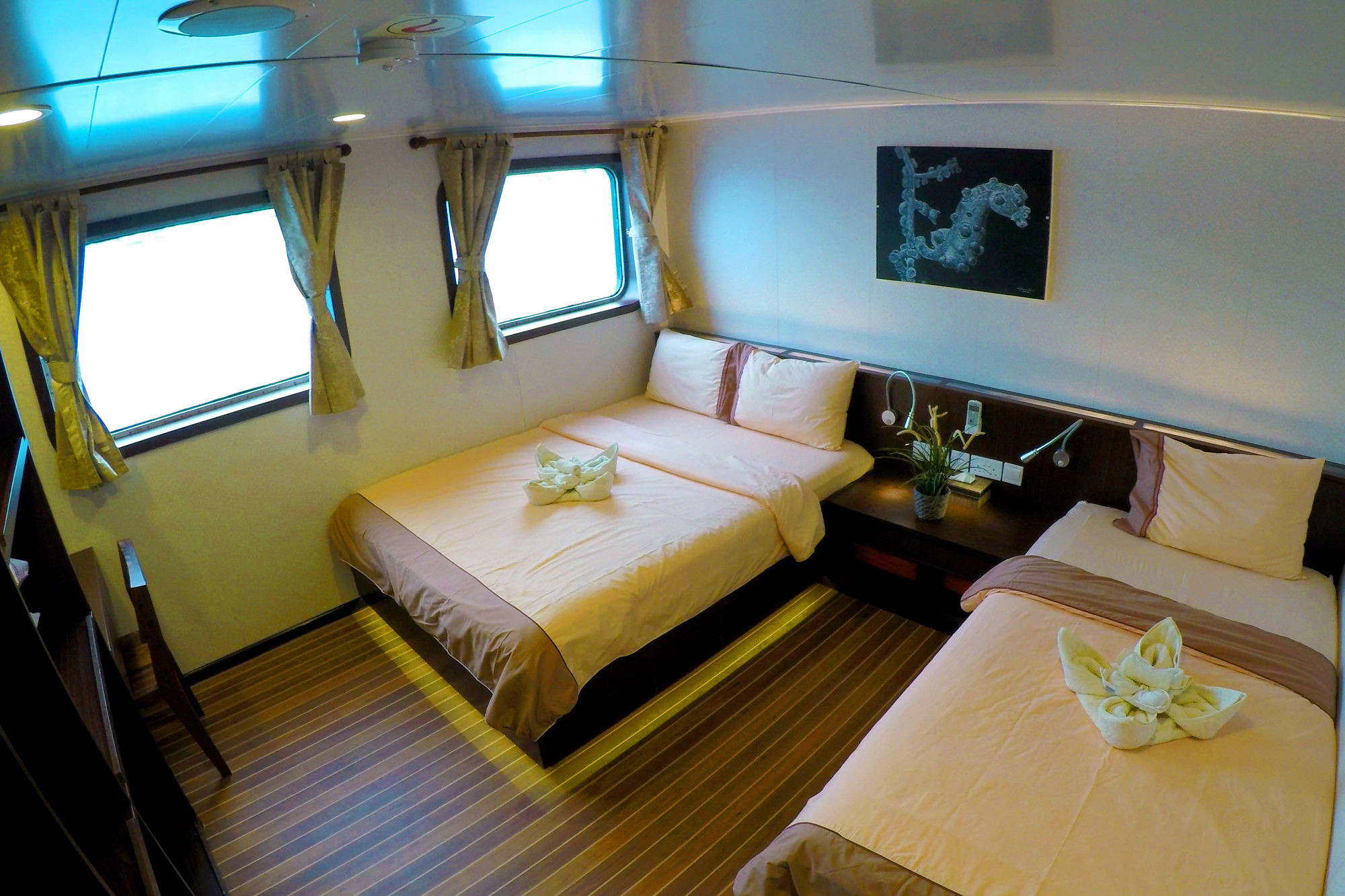 Main Deck Cabin - Blue Manta