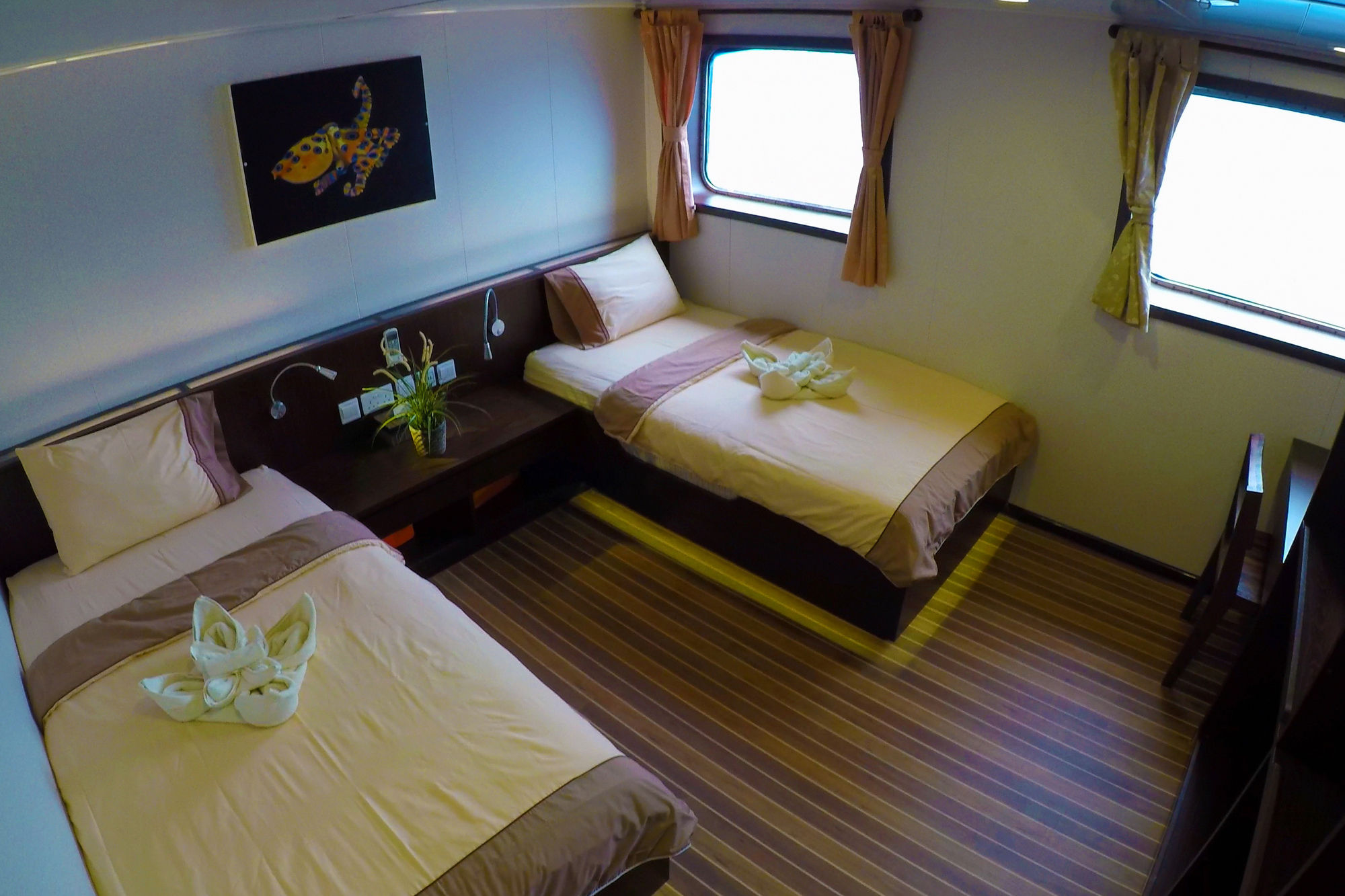 Main Deck Cabin - Blue Manta